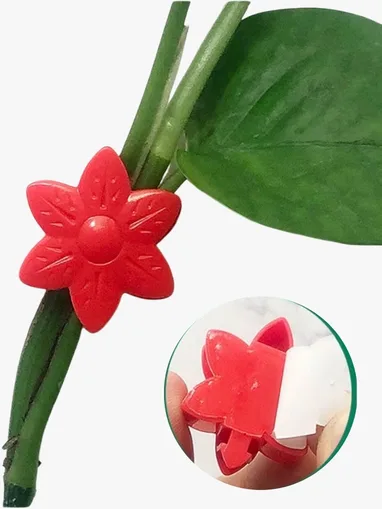 Clip decorativo de flores para plantas en Holguin.