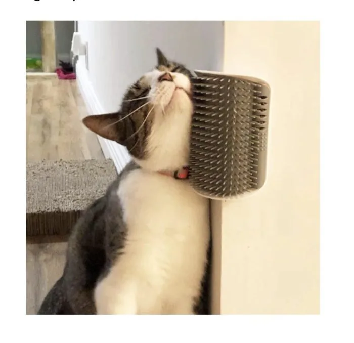 Cepillo para gatos - Imagen 2