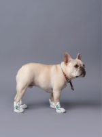 Zapatos para Mascotas - Imagen 6