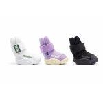 Zapatos para Mascotas
